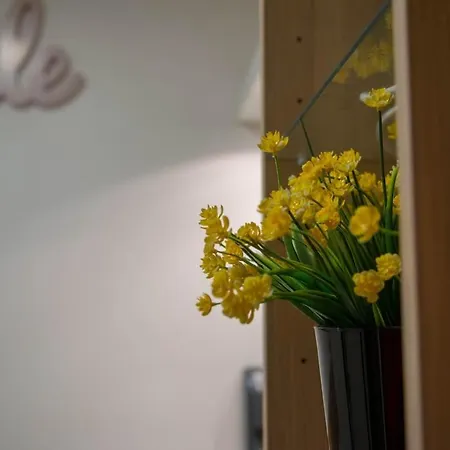 Apartament Nid Douillet Aux Portes De Paris